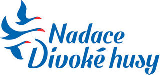 Nadace Divoké husy