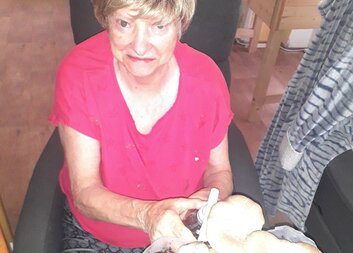 V domově si pěstují hlívu královskou