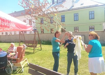 Májka šla k zemi. Do kácení se zapojili i senioři