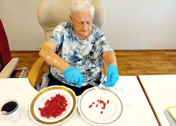 Senioři se zapojili do sběru rybízu