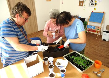 Od semínka k chutné úrodě