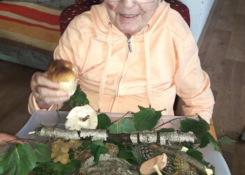 Kouzlo lesa v domově