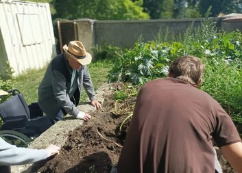 Brambory jsou nejlepší s mlékem a cibulkou