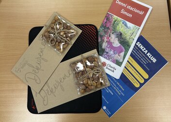 Sociální služby táhnou za jeden provaz