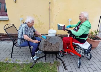 Sezóna rajčat zahájená